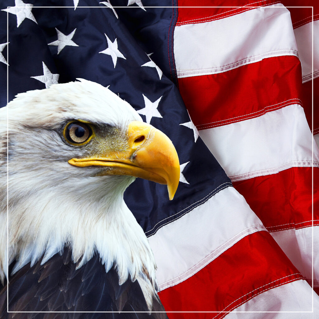 American flag and bald eagle