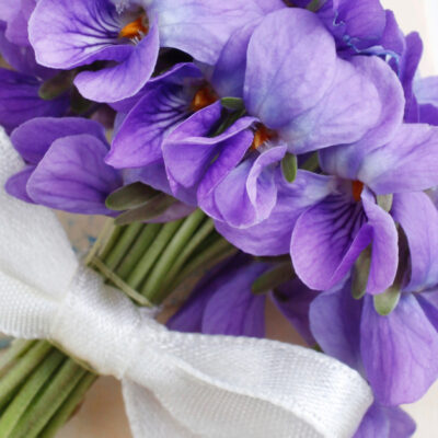 Bundle of violets or violas tied with a white ribbon on a vintage letter