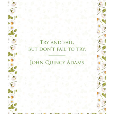 John Quincy Adams Try and Fail quote printable in Daisies and Gingham design