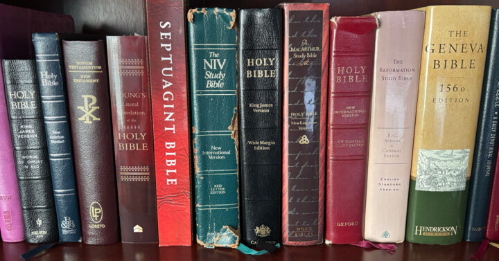 Shelf of Bibles including KJV, NIV, ESV, NASB, The Geneva Bible, Scofield Bible, and Study Bibles