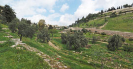 Gehenna (Hinnom) Valley near the Old City in Jerusalem