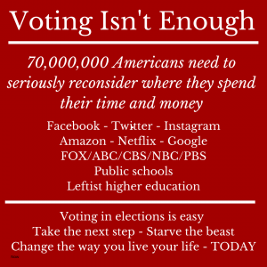 Voting Isn't Enough